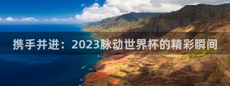 世界杯欧洲预选赛：携手并进：2023脉动世界杯的精彩瞬间
