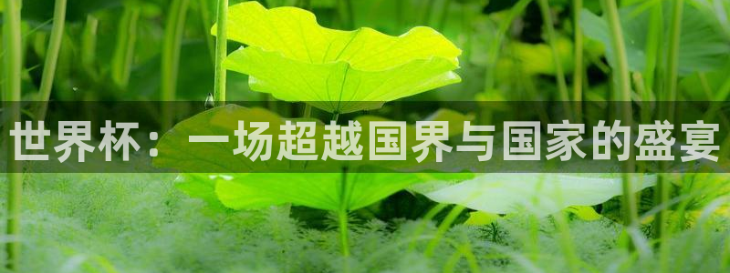 世界杯小组赛赛程：世界杯：一场超越国界与国家的盛宴