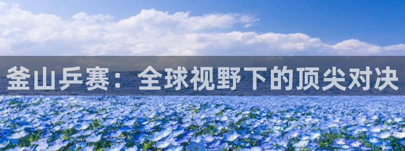 世界杯直播免费观看：釜山乒赛：全球视野下的顶尖对决