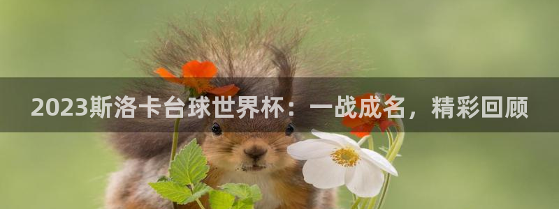 世界杯直播网站：2023斯洛卡台球世界杯：一战成名，精彩回顾