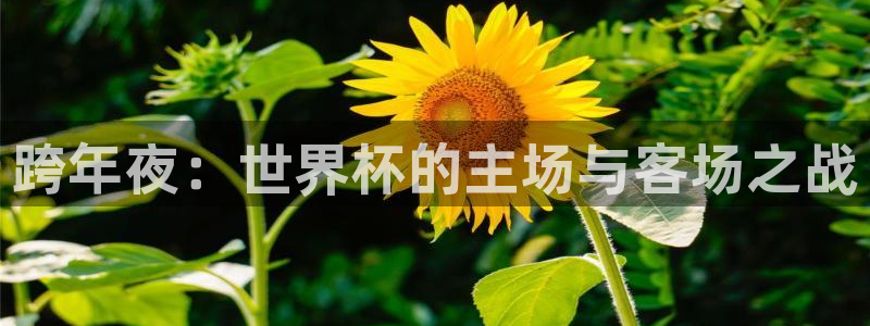 欧洲世预赛赛程表：跨年夜：世界杯的主场与客场之战