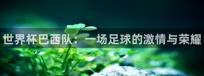 美洲杯直播：世界杯巴西队：一场足球的激情与荣耀
