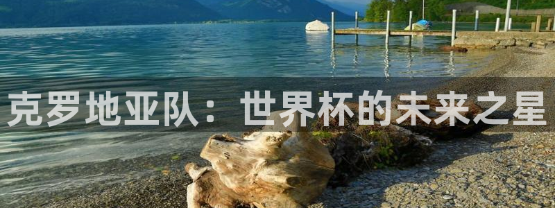 联赛杯直播：克罗地亚队：世界杯的未来之星