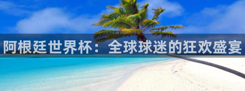 世界杯系列赛：阿根廷世界杯：全球球迷的狂欢盛宴