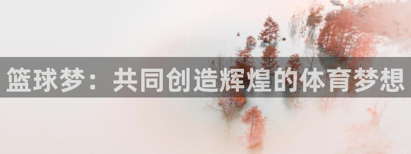 世界杯葡萄牙赛程：篮球梦：共同创造辉煌的体育梦想